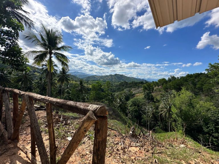 WhatsApp Image 2025-12-16 at 9.48